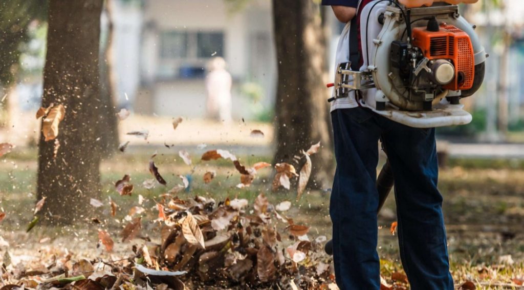 how to clean a gas powered leaf blower