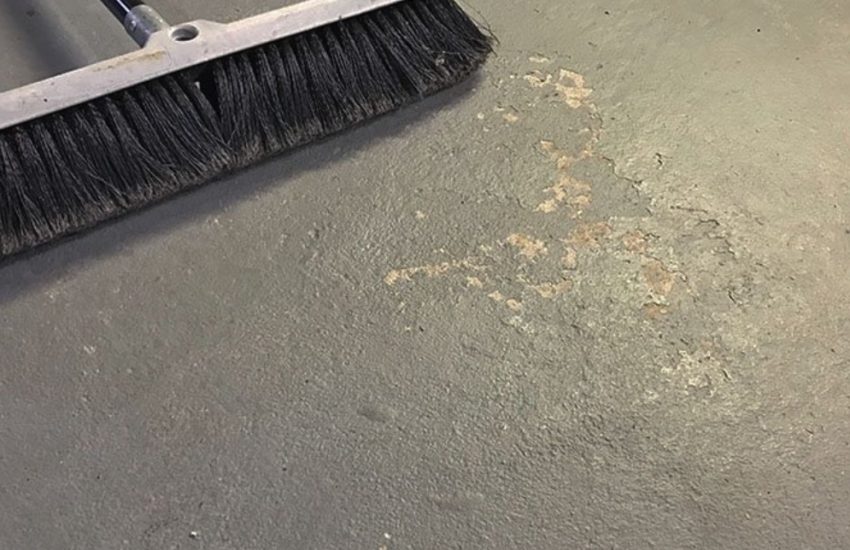 How to Keep Flies Out of the Garage Nels Garage